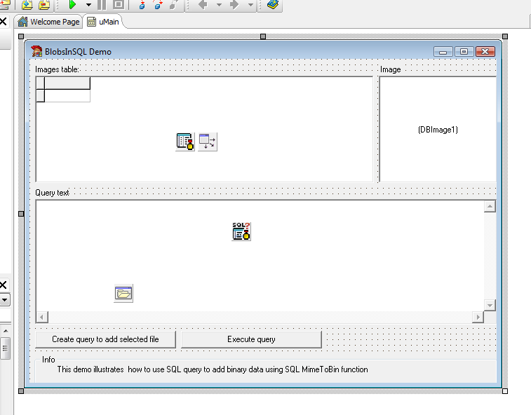 Blobs In Sql Delphi Example 