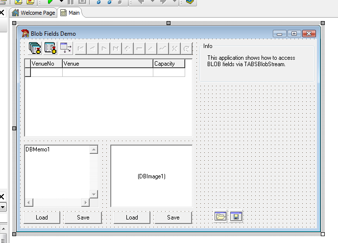 Blob Fields Delphi Example 